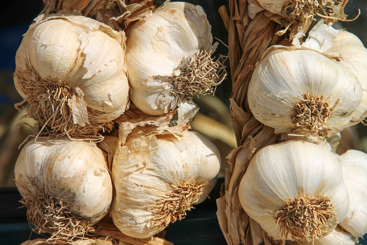 5 Manfaat dan Cara Mengkonsumsi Bawang Putih untuk Kesehatan: Bisa Pengendalian Gula Darah?