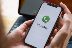 Kamu Perlu Tahu! Ini Cara Melihat Status WhatsApp Orang Lain Tanpa Ketahuan