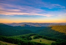 Dikelilingi Pepohonan yang Rindang! Inilah Objek Wisata Baru di Temanggung Jawa Tengah yang dapat Julukan Kampung Tersepi Cuma 45 Menit Aja dari Pusat Kota