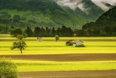 Dimana Letak Kampung Terpencil di Tengah Kebun Teh yang ada di Jawa Tengah? Ternyata Jumlah Warganya Cuma 6 Kepala Keluarga