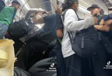 Viral! Security Kepergok Lecehkan Penumpang di Stasiun Manggarai, Aksi Seorang Wanita Tuai Pujian Warganet, Apa yang Dilakukan?