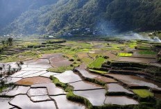 Urutan Keempat dari Provinsi Banten? Beginilah Kehidupan di Balik Kepadatan Penduduk di Kota Cilagon, Penduduk Capai 2.804 Jiwa